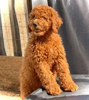 processed/caee1e40-8483-47ac-a17f-c37c9a2e563f/listing/7dd92517-4688-40c4-b98e-ff69a9cd37d4/b822af03-7a6f-402c-a1e7-aa71767b566f