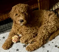 processed/caee1e40-8483-47ac-a17f-c37c9a2e563f/listing/f8d699e6-3675-44e2-be1a-20070125fe73/459f9e0e-e841-4dcd-b2f0-65d5e678b0ec