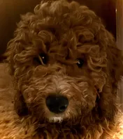 processed/caee1e40-8483-47ac-a17f-c37c9a2e563f/listing/f8d699e6-3675-44e2-be1a-20070125fe73/59baf901-989b-40f3-a586-e13c0b6d5035