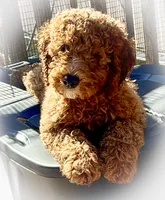 processed/caee1e40-8483-47ac-a17f-c37c9a2e563f/listing/f8d699e6-3675-44e2-be1a-20070125fe73/5bde70a4-3f00-4459-a26a-3c55f898bf93