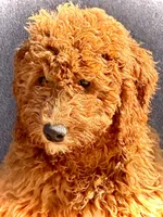 processed/caee1e40-8483-47ac-a17f-c37c9a2e563f/listing/f8d699e6-3675-44e2-be1a-20070125fe73/eb9a978c-9190-4f54-9e3c-e7a2da5e4f91