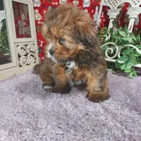 processed/cafa0241-e1fe-41b0-bc97-71a81a02f24c/listing/1e4ff124-496d-4786-a465-8f24e013c830/df3e49f4-7b6a-43ae-9668-a0e9bda8ec73