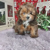 processed/cafa0241-e1fe-41b0-bc97-71a81a02f24c/listing/1e4ff124-496d-4786-a465-8f24e013c830/f99bd0af-a038-4a12-ab92-f6db681641c2