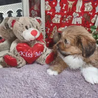 processed/cafa0241-e1fe-41b0-bc97-71a81a02f24c/listing/dd5fde7e-20fe-4d4b-8693-18547b59e93e/437c341f-28f9-46bf-a074-781d153b18f0