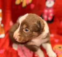 processed/cafdea92-1515-4756-b259-e46037ce431a/listing/9d0a55ee-805c-43cd-a6b8-35ce09cb4b29/29c10c4a-f2f0-4168-8b22-d234a0d83ae5