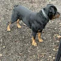 processed/caffc4b7-ce52-4b9c-b1d1-73a668397113/facility/1cebd5ae-88ce-40a6-b2de-b39c6b285787