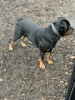 processed/caffc4b7-ce52-4b9c-b1d1-73a668397113/facility/1cebd5ae-88ce-40a6-b2de-b39c6b285787