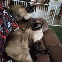 processed/caffc4b7-ce52-4b9c-b1d1-73a668397113/facility/31d8aebe-11e7-4009-acec-5bc66ff9aa9f