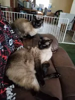 processed/caffc4b7-ce52-4b9c-b1d1-73a668397113/facility/31d8aebe-11e7-4009-acec-5bc66ff9aa9f