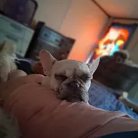 processed/caffc4b7-ce52-4b9c-b1d1-73a668397113/facility/422c15e5-b2cb-47b1-9770-6d0d14c74b23