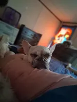 processed/caffc4b7-ce52-4b9c-b1d1-73a668397113/facility/422c15e5-b2cb-47b1-9770-6d0d14c74b23