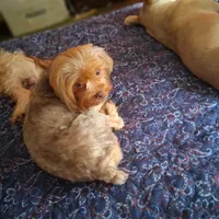 processed/caffc4b7-ce52-4b9c-b1d1-73a668397113/facility/4d139ea2-210d-4e54-a497-b230a743d04c