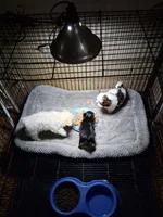 processed/caffc4b7-ce52-4b9c-b1d1-73a668397113/facility/b53cff7f-11cf-4797-80df-545e7883e823