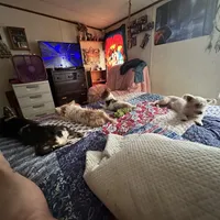 processed/caffc4b7-ce52-4b9c-b1d1-73a668397113/facility/bd4a5833-aaec-4dda-86eb-af617782f886