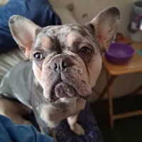 processed/caffc4b7-ce52-4b9c-b1d1-73a668397113/facility/e35c46dc-c435-4671-8e9e-7575b77f7811