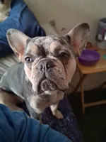 processed/caffc4b7-ce52-4b9c-b1d1-73a668397113/facility/e35c46dc-c435-4671-8e9e-7575b77f7811