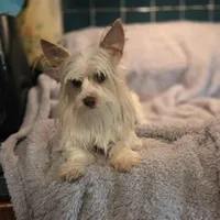 processed/caffc4b7-ce52-4b9c-b1d1-73a668397113/facility/e7b4e98d-7dc5-41f5-9b07-1c9dfe174b8f