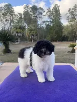 processed/cb01b853-ffcf-4810-bd1b-e5e15d203d7f/listing/43c733b2-4fe0-45fe-abed-815926918796/ab56288d-aed5-4471-bfc6-0b93551bddb8