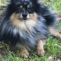 processed/cb04cfe3-afb7-4142-9cb3-661c18817659/facility/b7eb368d-0e76-4933-82e9-80408da81ff2