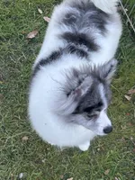 processed/cb04cfe3-afb7-4142-9cb3-661c18817659/listing/1e149526-18c5-412f-960c-be44682cac08/6c844aad-7b14-4f0f-800b-44c75072c5fb