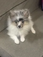 processed/cb04cfe3-afb7-4142-9cb3-661c18817659/listing/3f43c974-7ab8-4485-a6cf-2c0c3cd04de7/4a80eed4-885d-4aad-8c5e-e2243ea9795b