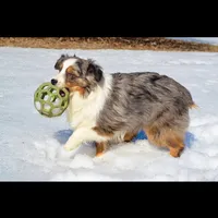 processed/cb07d0bc-56d6-4042-b092-e901b32de9c9/facility/278cefd9-459a-4f71-9e6f-f085253721d7