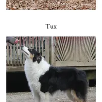 processed/cb07d0bc-56d6-4042-b092-e901b32de9c9/facility/297c380d-e721-4db6-8e80-e5419eb23559