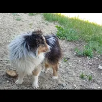 processed/cb07d0bc-56d6-4042-b092-e901b32de9c9/facility/8e8e3cb4-b217-4aae-a032-7c01f7b58217