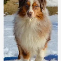 processed/cb07d0bc-56d6-4042-b092-e901b32de9c9/facility/942d1750-27c9-401b-bc99-13a880acf50b