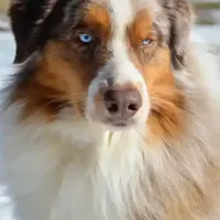 processed/cb07d0bc-56d6-4042-b092-e901b32de9c9/facility/a2793b87-aba9-4001-8e85-e4b6c123dcf5