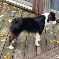 processed/cb07d0bc-56d6-4042-b092-e901b32de9c9/facility/b262d976-7eb6-4a26-aac1-f1cba4e4df37