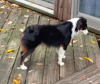 processed/cb07d0bc-56d6-4042-b092-e901b32de9c9/facility/b262d976-7eb6-4a26-aac1-f1cba4e4df37