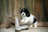 processed/cb083bab-8143-493e-abaa-a92eb1097d6b/facility/1339d6ff-297f-4f65-9a49-b16959d51799