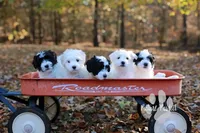 processed/cb083bab-8143-493e-abaa-a92eb1097d6b/facility/2c0329be-4c6f-4d44-982d-1a1e81d038ef