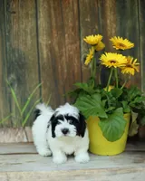 processed/cb083bab-8143-493e-abaa-a92eb1097d6b/facility/496e79a3-9b89-4d43-877d-fa095e9c24fe