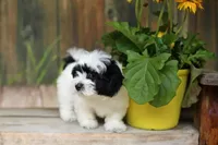 processed/cb083bab-8143-493e-abaa-a92eb1097d6b/facility/61803f59-ddcc-4778-bfb1-d8dd5b464d0a