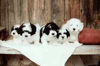 processed/cb083bab-8143-493e-abaa-a92eb1097d6b/facility/6b193a90-f4bb-4c70-884e-fbaf3ecf874a