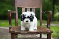 processed/cb083bab-8143-493e-abaa-a92eb1097d6b/facility/b97f0c8f-0362-4326-931c-9c31d1e9aa67