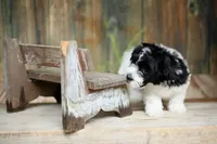 processed/cb083bab-8143-493e-abaa-a92eb1097d6b/facility/c6eb93a2-1428-46f1-a55f-93ca1639f22c