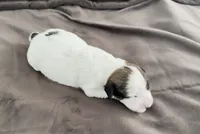 processed/cb083bab-8143-493e-abaa-a92eb1097d6b/listing/4a1d4791-4bf1-4312-b4bd-9fe2e0791405/09a453e9-a4a2-42e9-bfbf-7f29f7b305e0