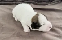 processed/cb083bab-8143-493e-abaa-a92eb1097d6b/listing/4a1d4791-4bf1-4312-b4bd-9fe2e0791405/1842ace7-d198-4f04-b9bf-691e236d99a1