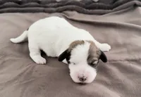 processed/cb083bab-8143-493e-abaa-a92eb1097d6b/listing/4a1d4791-4bf1-4312-b4bd-9fe2e0791405/2bf2e249-1be2-4386-9994-556433535710