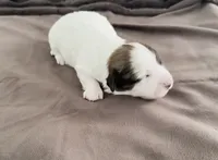 processed/cb083bab-8143-493e-abaa-a92eb1097d6b/listing/4a1d4791-4bf1-4312-b4bd-9fe2e0791405/7db2ea6b-0553-49f3-be70-7eb61546cc40