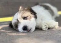 processed/cb083bab-8143-493e-abaa-a92eb1097d6b/listing/4a1d4791-4bf1-4312-b4bd-9fe2e0791405/d8ef1918-fec1-4976-9b60-2e91f042abe9