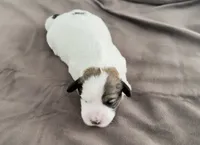 processed/cb083bab-8143-493e-abaa-a92eb1097d6b/listing/4a1d4791-4bf1-4312-b4bd-9fe2e0791405/ea18a450-9c10-4c3d-8f19-dbda5e2f13af