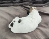 processed/cb083bab-8143-493e-abaa-a92eb1097d6b/listing/4a1d4791-4bf1-4312-b4bd-9fe2e0791405/efa215d2-798e-4bb2-a01c-ef96753514a5