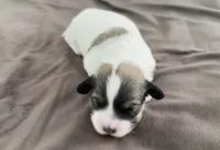 processed/cb083bab-8143-493e-abaa-a92eb1097d6b/listing/568a574b-e805-491a-9cbf-f17ca1f67fa6/37ebe82a-27aa-45fd-8851-75d33bc008f2