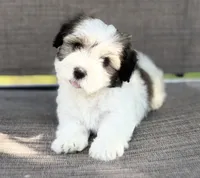 processed/cb083bab-8143-493e-abaa-a92eb1097d6b/listing/568a574b-e805-491a-9cbf-f17ca1f67fa6/38783cf3-48ae-4219-a6e9-d1f461ada36c