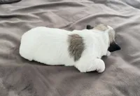 processed/cb083bab-8143-493e-abaa-a92eb1097d6b/listing/568a574b-e805-491a-9cbf-f17ca1f67fa6/a320cc02-57f6-4bd4-9956-351fbddc34ab