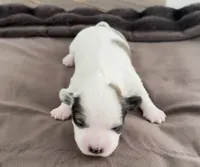 processed/cb083bab-8143-493e-abaa-a92eb1097d6b/listing/5c9116e5-2969-4d86-bda0-5745c30fac00/9e9a3d0e-5915-4d33-a5d2-8bd00eab54a6